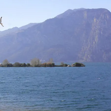 Bellavista